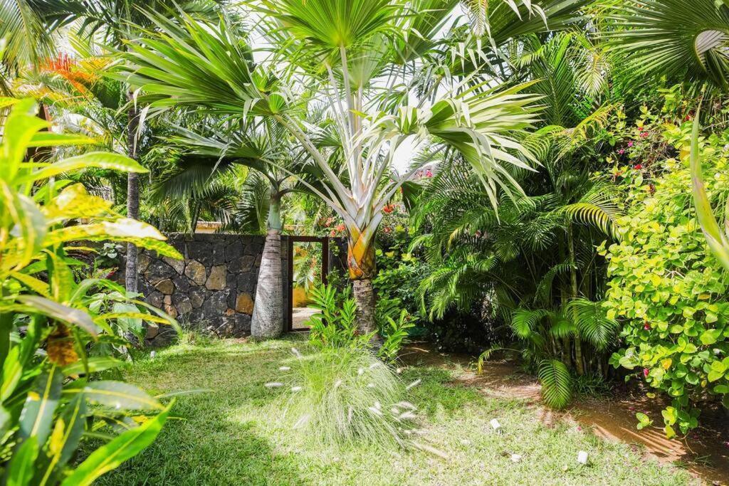 Villa Tropicale Balinaise Intimiste Grand Baie Zewnętrze zdjęcie